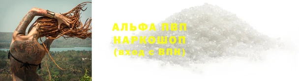 прущие крисы Богданович