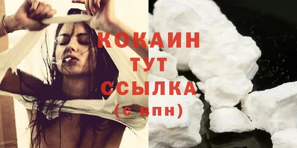 дмт Богородицк